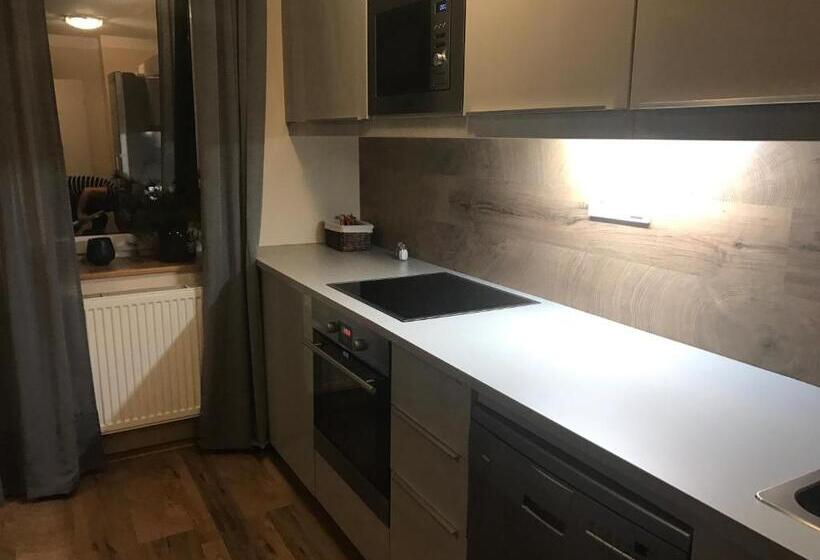 带1个卧室的公寓, Apartmány Gryf Harrachov