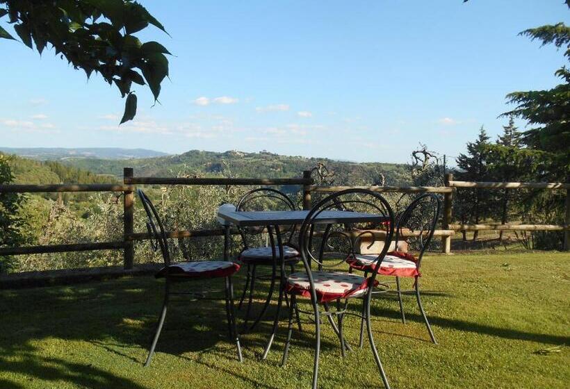 Апартаменты 1 Спальня, Agriturismo Il Loghino