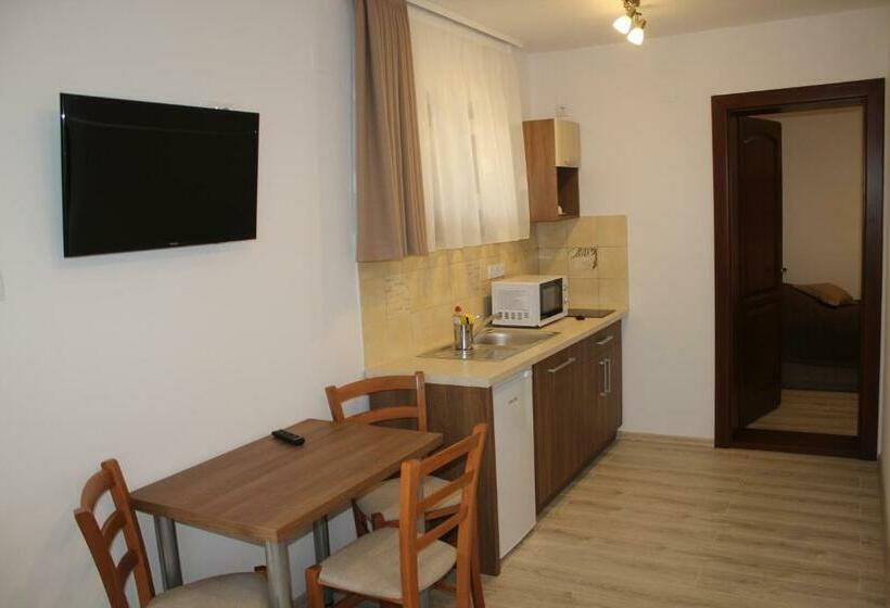 带1个卧室的公寓, Casa 77 Praid