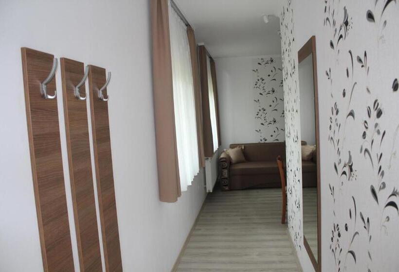 带1个卧室的高级公寓, Casa 77 Praid
