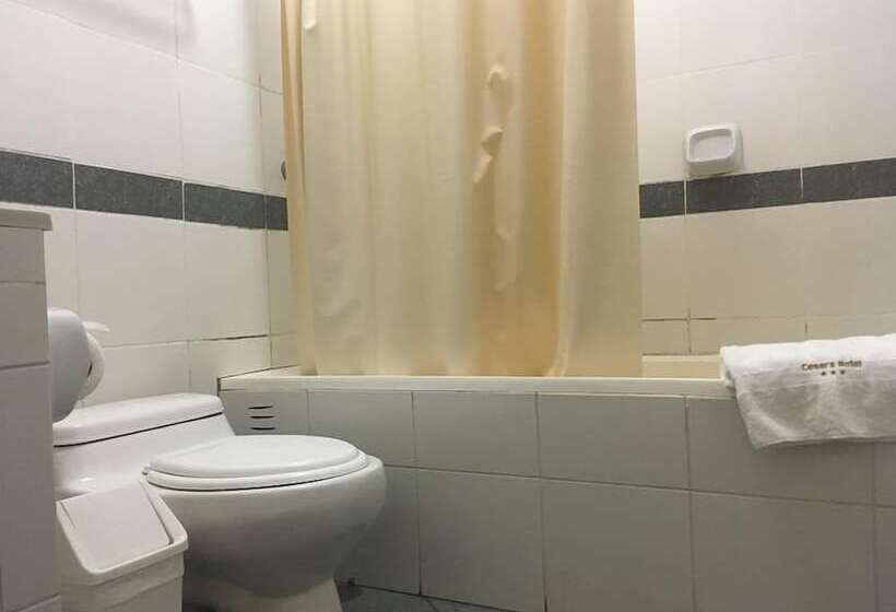 اتاق استاندارد یک نفره, Cesar S Hotel La Merced