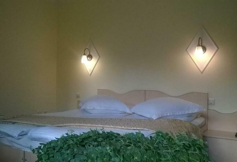 اتاق استاندارد با بالکن, Vila Alunis