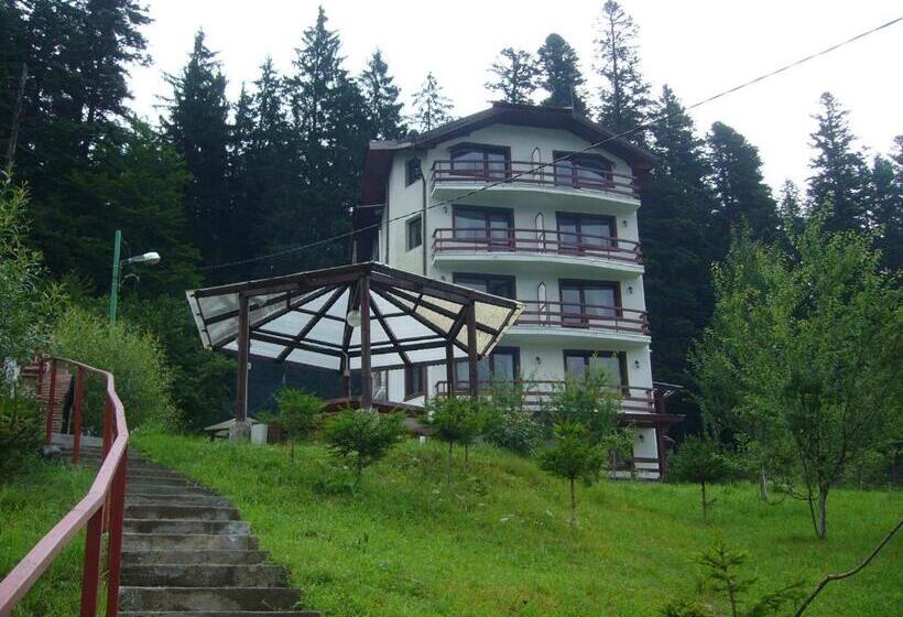ویلای 1 خوابه, Vila Alunis
