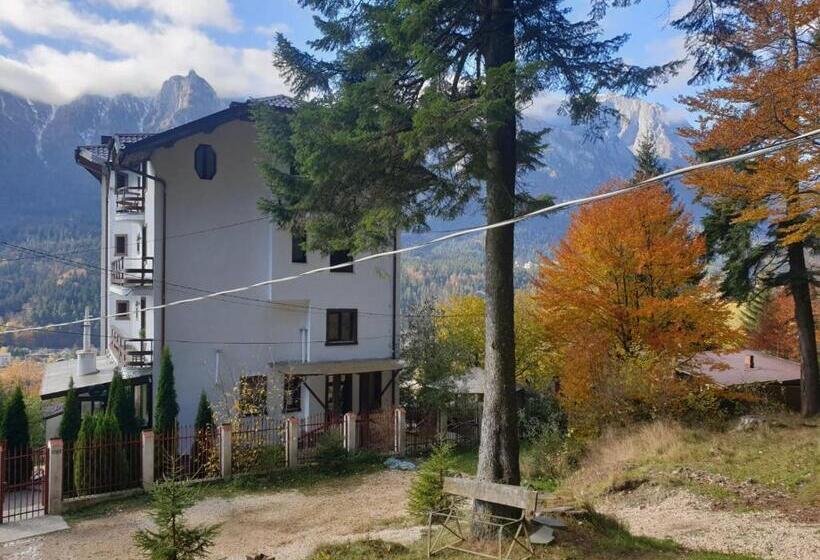 ویلای 1 خوابه, Vila Alunis