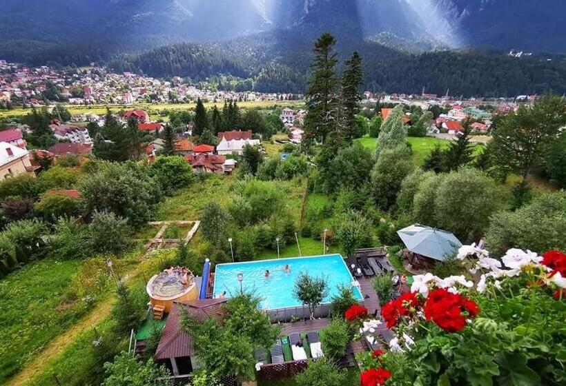ویلای 1 خوابه, Vila Alunis