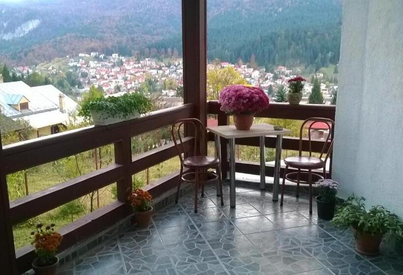 ویلای 1 خوابه, Vila Alunis