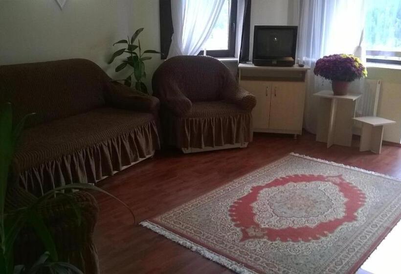 آپارتمان 1 خوابه با بالکن, Vila Alunis