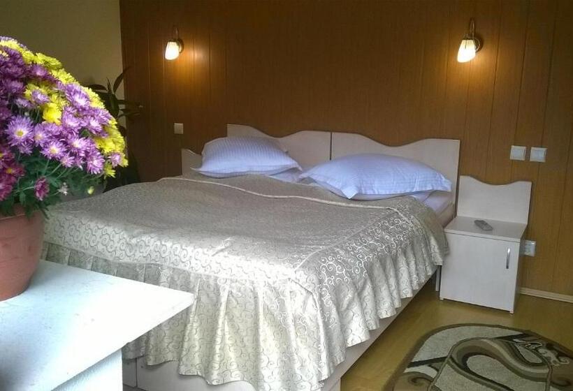 ویلای 1 خوابه, Vila Alunis