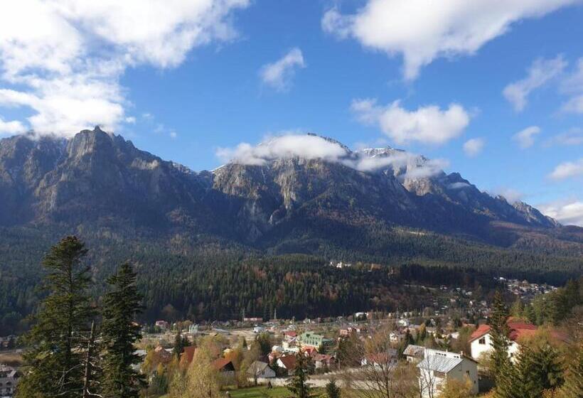 ویلای 1 خوابه, Vila Alunis