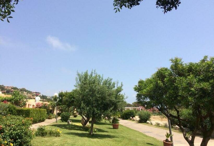 חדר סטודיו סטנדרד, Monolocale Free Beach Residence Due Passi Dal Mare