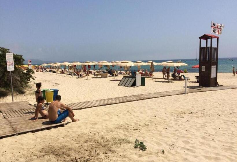 חדר סטודיו סטנדרד, Monolocale Free Beach Residence Due Passi Dal Mare