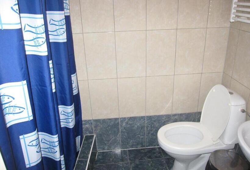 اتاق استاندارد یک نفره, Haga