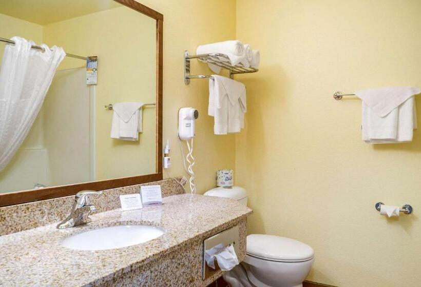 Номер Deluxe, Quality Inn & Suites