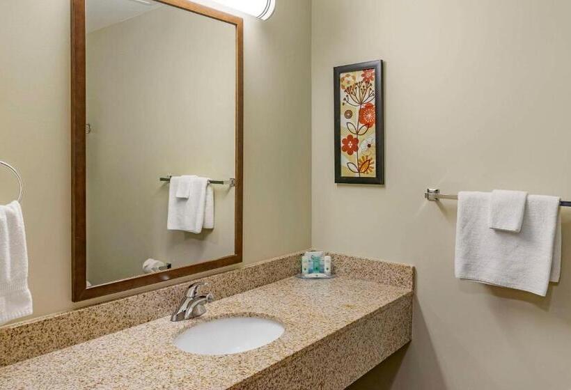 Люкс, Quality Inn & Suites