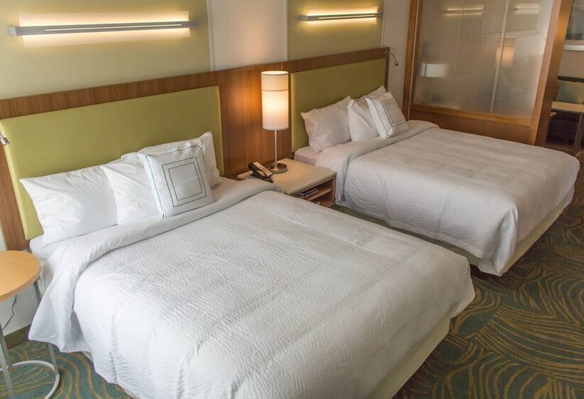 Люкс, Springhill Suites By Marriott Sumter