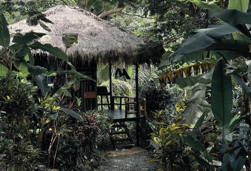 Бунгало Стандарт, Oasis Koh Chang