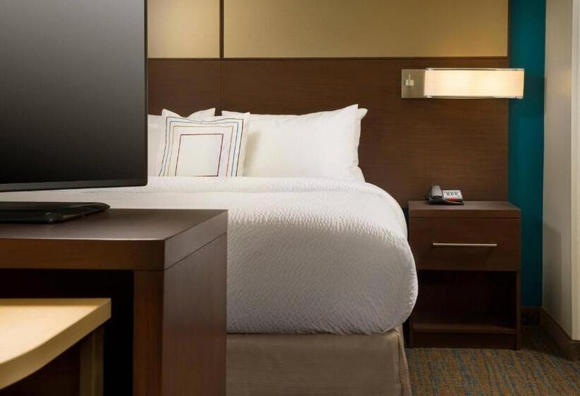 带大床的标准工作室, Residence Inn By Marriott Tyler