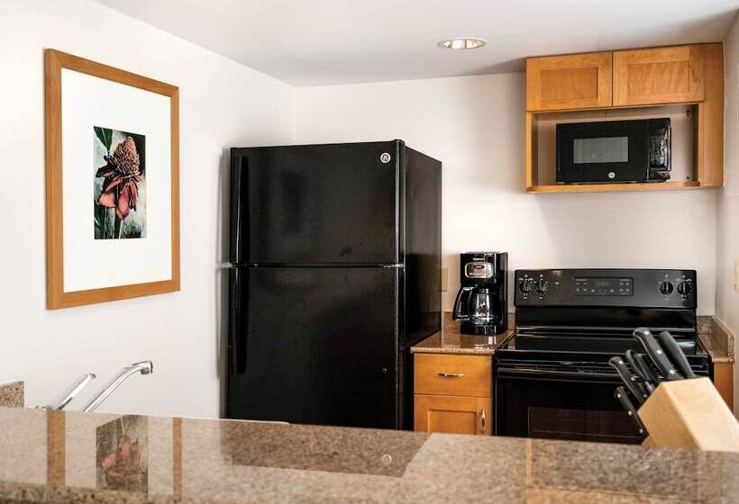 استودیوی استاندارد با چشم‌انداز شهر, Waikiki Marina Resort At The Ilikai