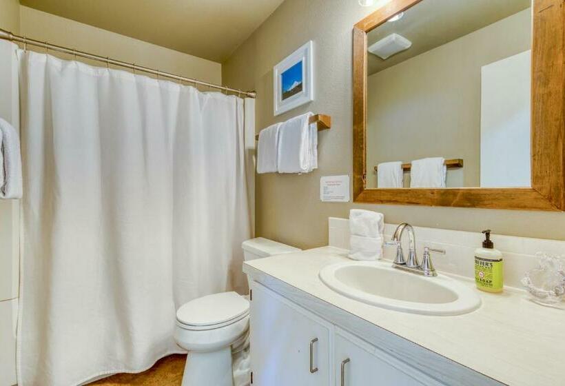 Апартаменты 3 Спальни, Skiway Lodge At Thunderhead