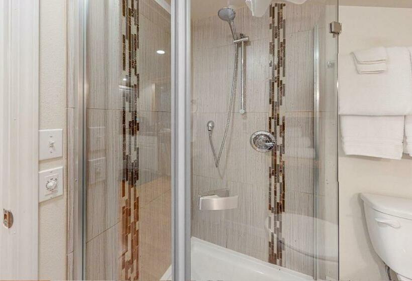 Студия Стандарт, St. Moritz  Apartment