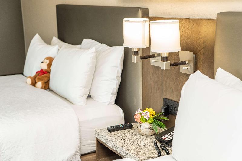 اتاق استاندارد با چشم‌انداز شهر, Hampton Inn San Francisco Downtown/convention Center