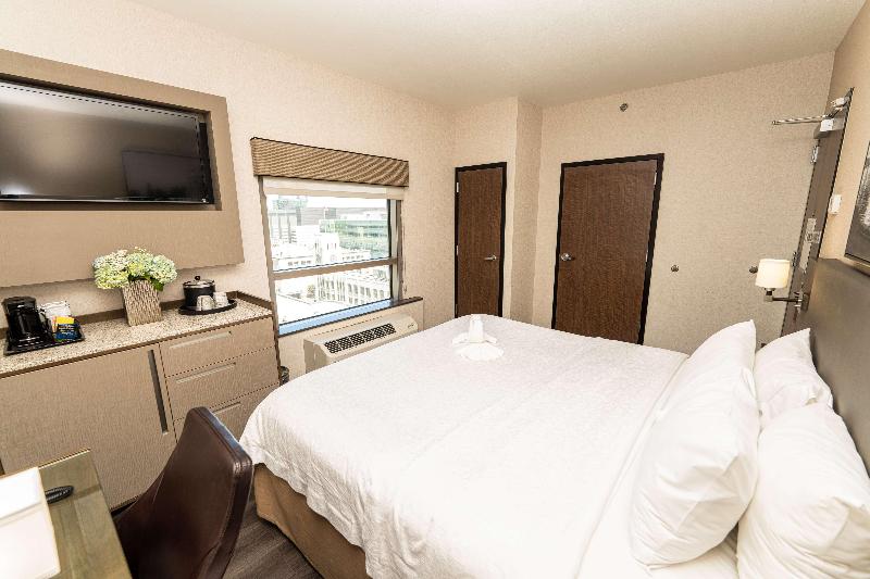 Стандартный Номер Кровать Кинг, Hilton Garden Inn Rochester Downtown, Ny