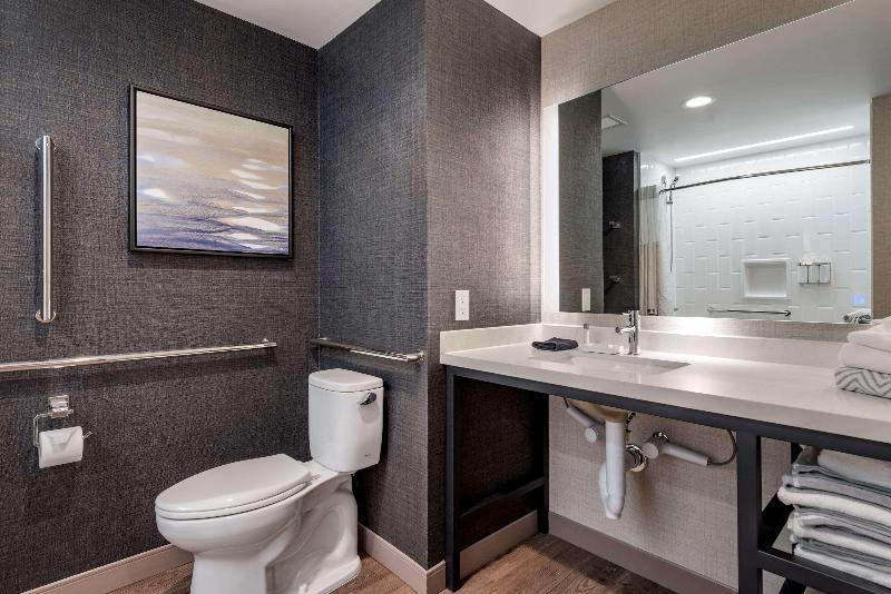 Номер Стандарт Кровать Кинг Адаптированный для Инвалидов, Cambria Hotel Minneapolis Downtown