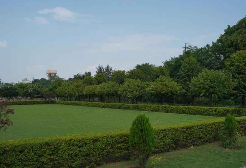اتاق لوکس, Swaropann Wellness Eco Stay