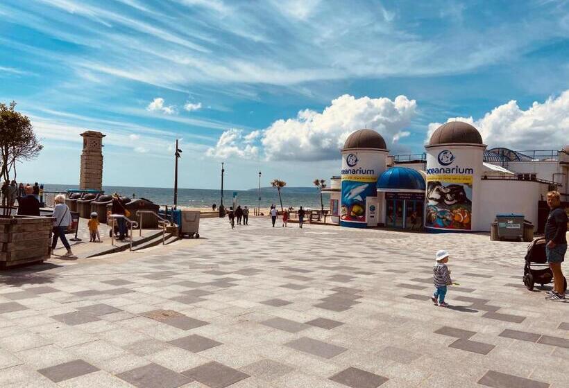 Четырехместный Номер Стандарт, Boho Beach House   Beach Location