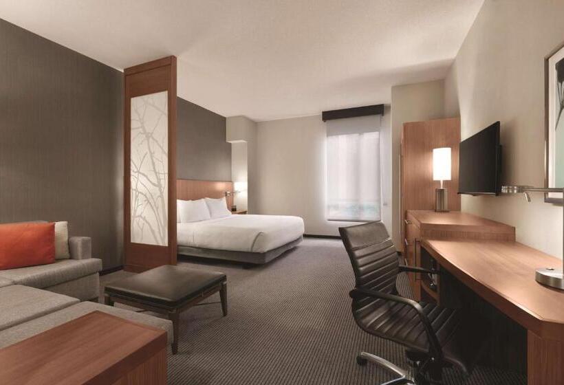 اتاق استاندارد با تخت بزرگ, Hyatt Place Baltimore Inner Harbor