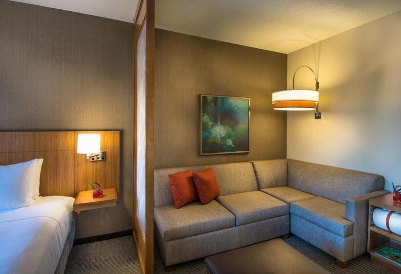 上層階スタンダードルーム, Hyatt Place Baltimore Inner Harbor