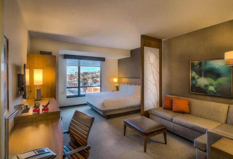 اتاق استاندارد برای معلولان, Hyatt Place Baltimore Inner Harbor