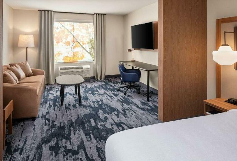 سوئیت با تخت بزرگ, Fairfield By Marriott Inn & Suites Yankton