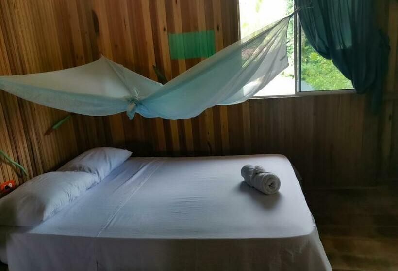 스탠다드 룸, Chowa Lodge