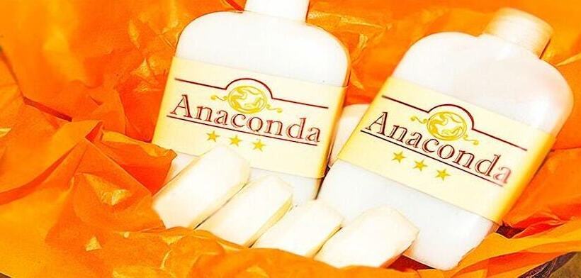 اتاق استاندارد یک نفره, Anaconda