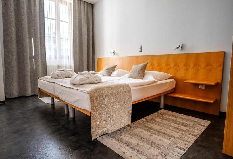 Апартаменты Deluxe 1 Спальня, Galant Mikulov