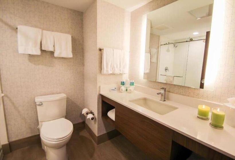 Номер Стандарт, Holiday Inn Express & Suites Miami Airport East, An Ihg