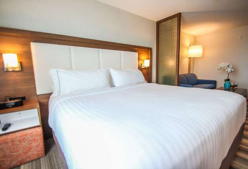 Люкс, Holiday Inn Express & Suites Miami Airport East, An Ihg