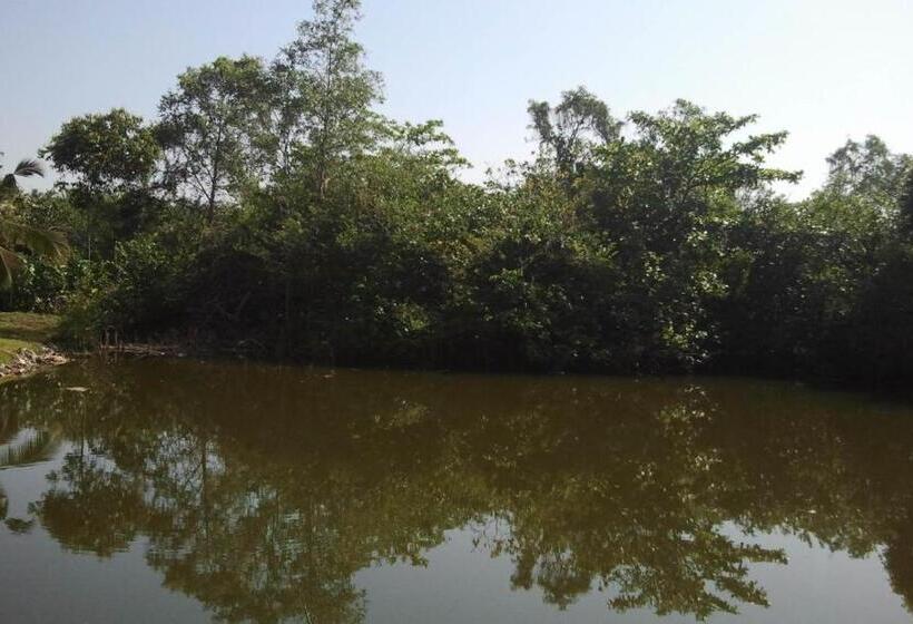 豪华房间, Lagoon Villa