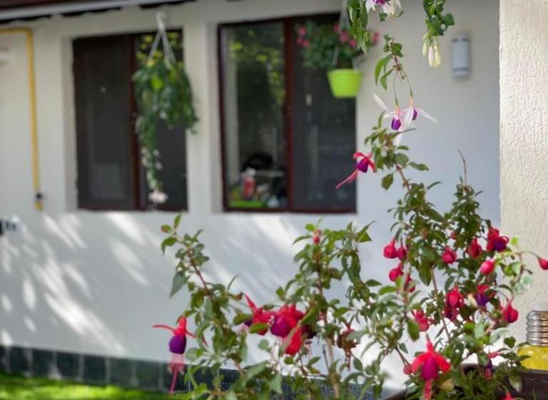 Дом 1 Спальня, Pension Casa Del Sol Predeal