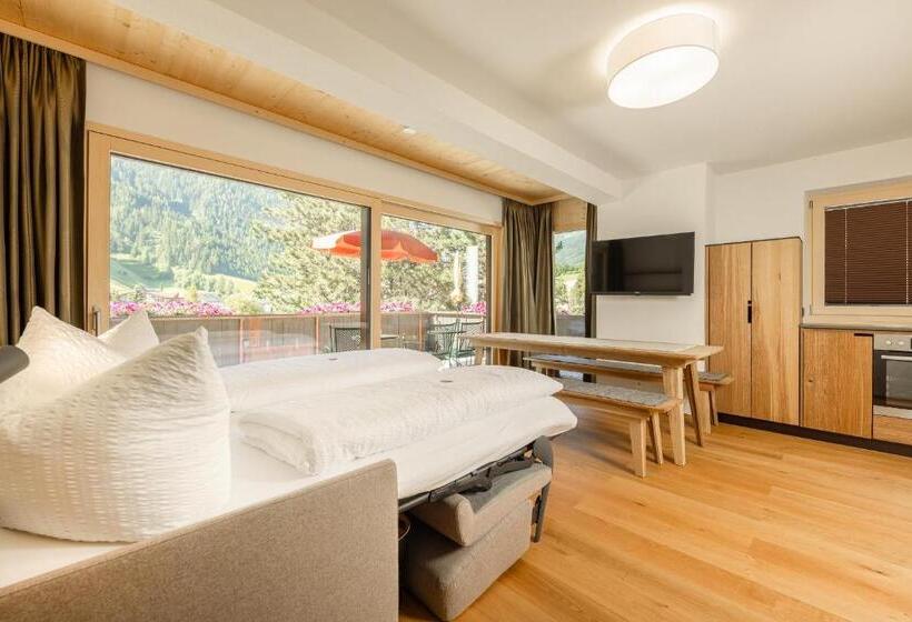 Апартаменты 1 Спальня с Террасой, Pension Gulla   Ferienhaus Appartements B&b