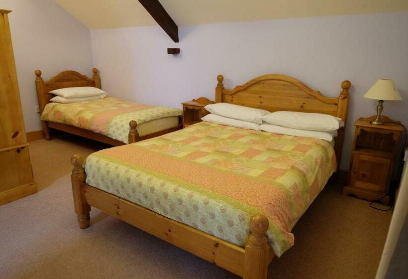 Трехместный Номер Deluxe, Brynderwen