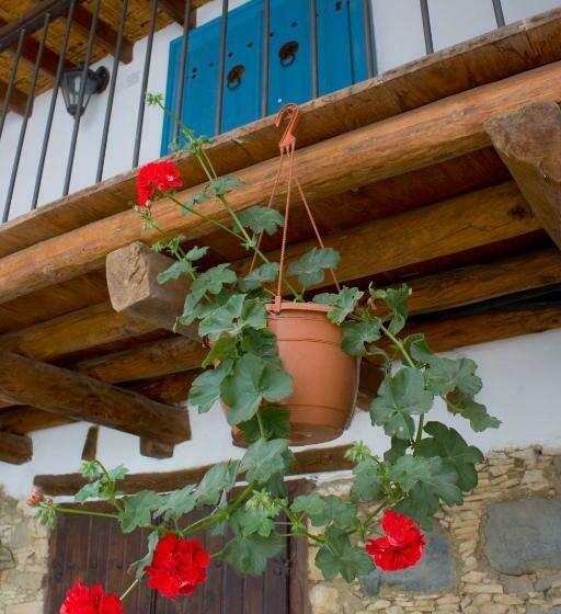 Номер Стандарт, Aperanti Agrotourism