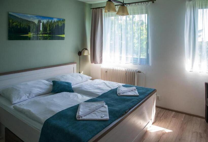 Номер Стандарт, Penzion Horal