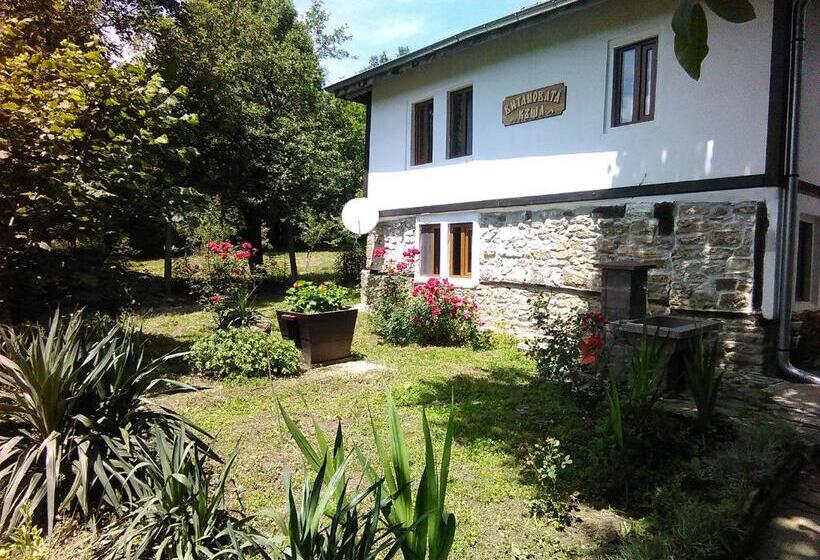 Дом 1 Спальня, Vitanova Guest House