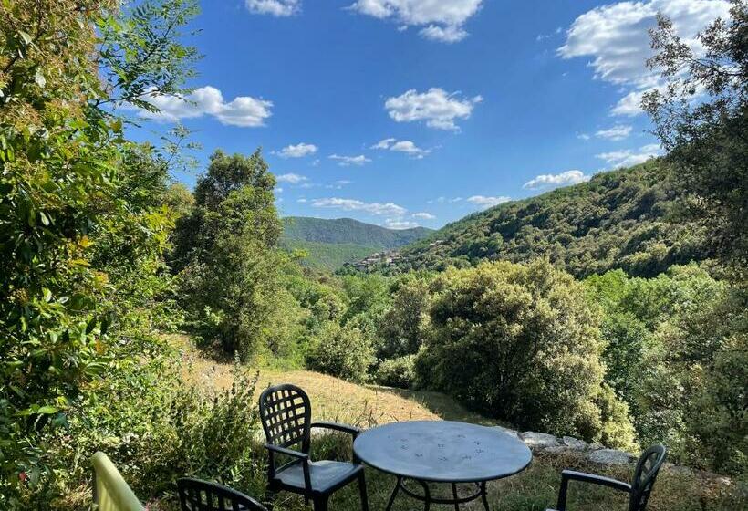 Номер Стандарт, Mas Des Nabières