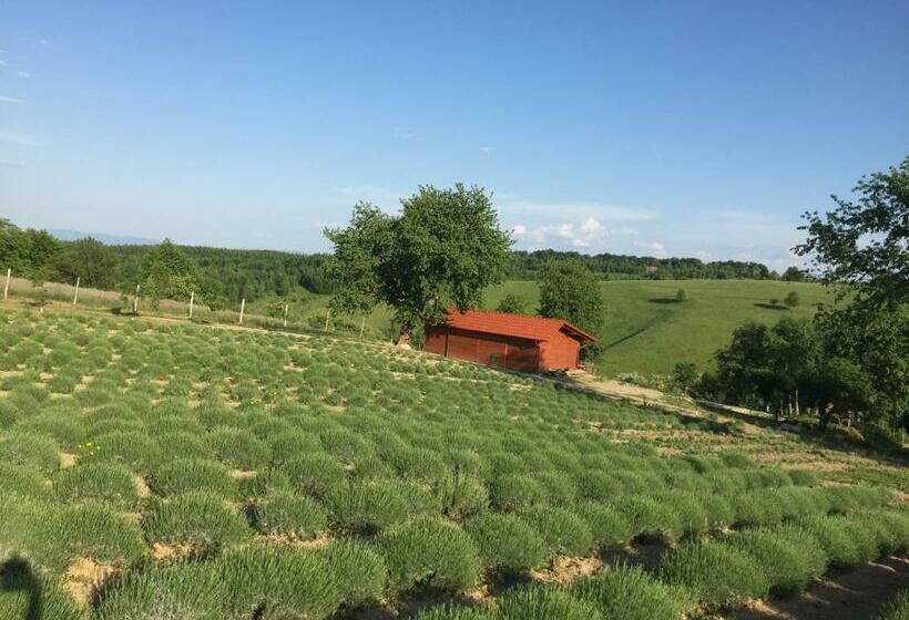 Трехместный Номер Стандарт Вид на Сад, Rose Hip Hill Farm