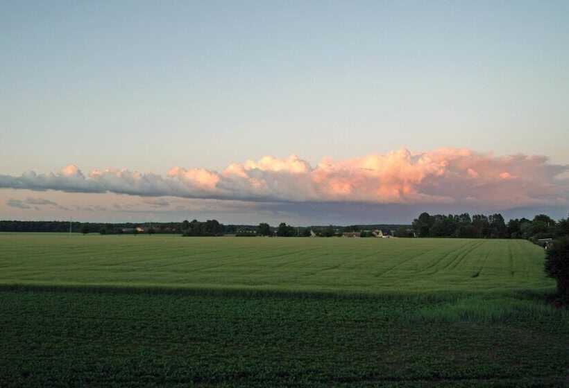 패밀리 룸, Lolland