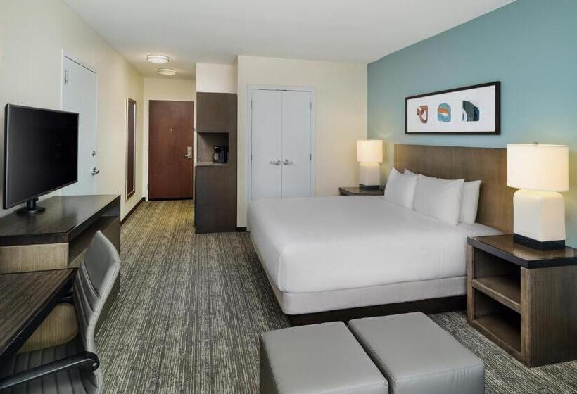 Номер Стандарт Кровать Кинг Адаптированный для Инвалидов, Hyatt House Atlanta Downtown