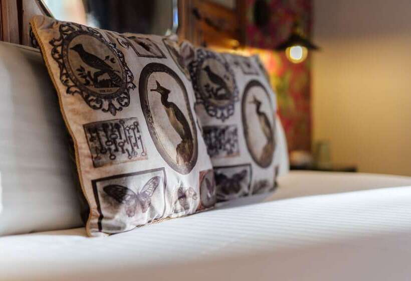 豪华房间, Jolyon S Boutique
